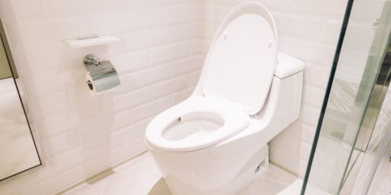 Como Desentupir Vaso Sanitário Que Caiu Objeto Dentro em São Luís: 4 Técnicas